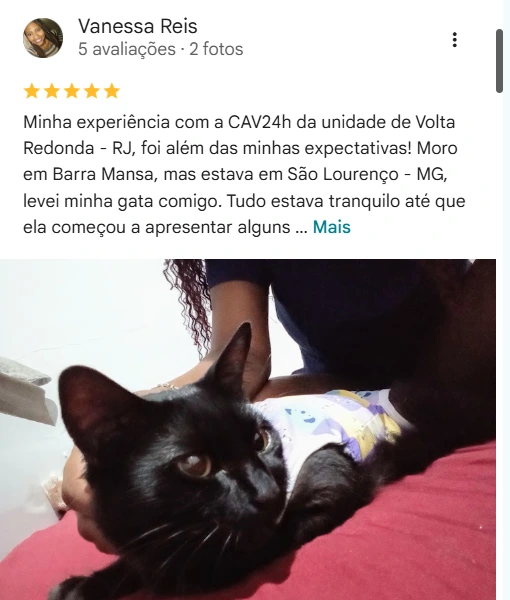 Avaliação de cliente no Google sobre a CAV