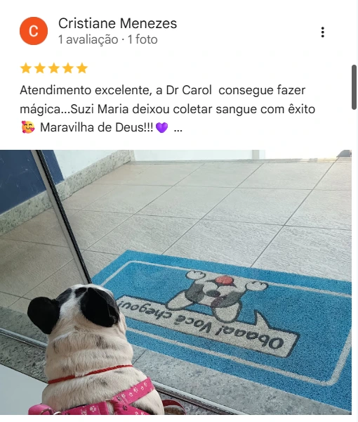 Avaliação de cliente no Google sobre a CAV