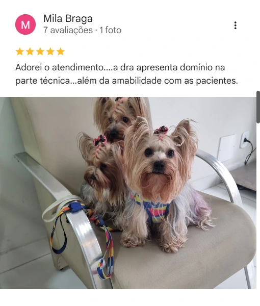 Avaliação de cliente no Google sobre a CAV