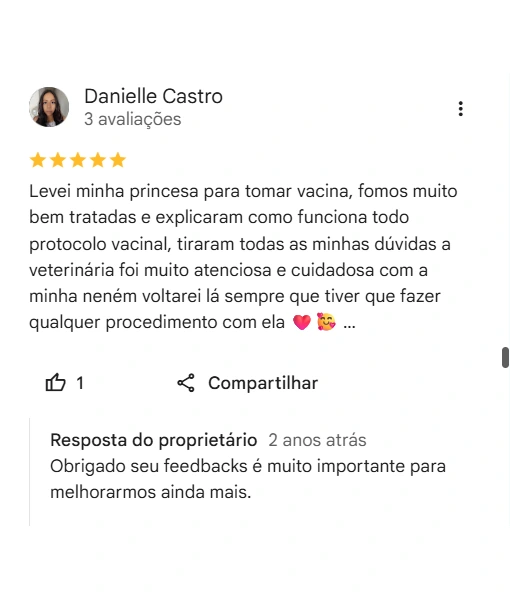 Avaliação de cliente no Google sobre a CAV