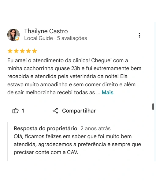 Avaliação de cliente no Google sobre a CAV