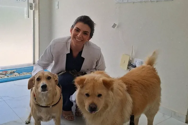 Veterinária da CAV com dois cães no consultório